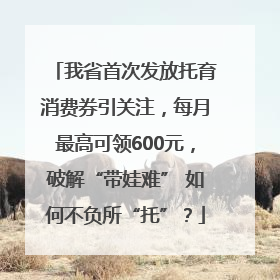 我省首次发放托育消费券引关注，每月最高可领600元，破解“带娃难” 如何不负所“托”？