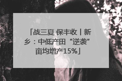 战三夏 保丰收丨新乡：中低产田“逆袭” 亩均增产15%