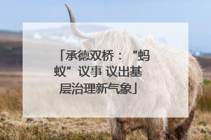 承德双桥：“蚂蚁”议事 议出基层治理新气象