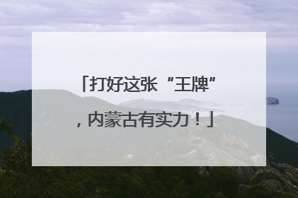 打好这张“王牌”，内蒙古有实力！