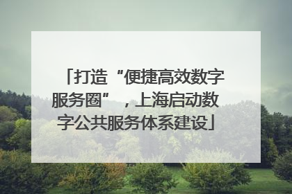 打造“便捷高效数字服务圈”，上海启动数字公共服务体系建设