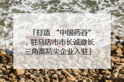打造 “中国药谷”，驻马店市市长诚邀长三角高精尖企业入驻