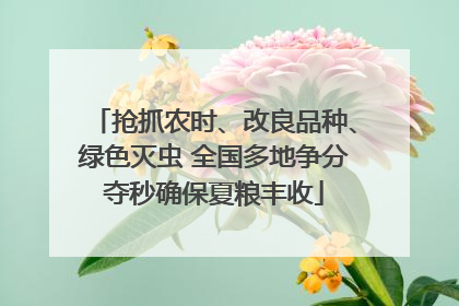 抢抓农时、改良品种、绿色灭虫 全国多地争分夺秒确保夏粮丰收
