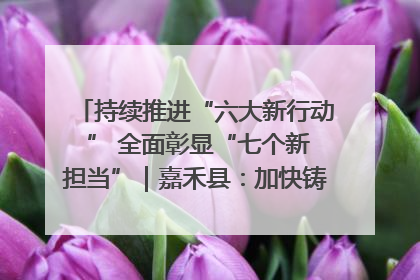 持续推进“六大新行动 ” 全面彰显“七个新担当”｜嘉禾县：加快铸造行业提档升级 助力绿色高质量发展