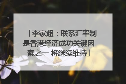 李家超：联系汇率制是香港经济成功关键因素之一 将继续维持