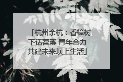 杭州余杭：香樟树下话苕溪 青年合力共建未来坝上生活