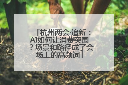 杭州两会·追新：AI如何让消费突围？场景和路径成了会场上的高频词