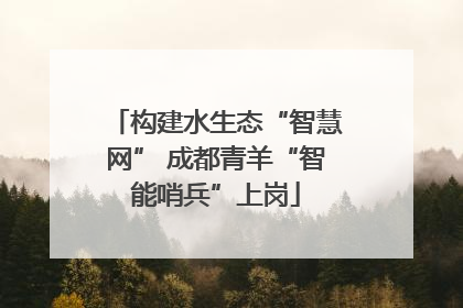构建水生态“智慧网” 成都青羊“智能哨兵”上岗