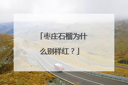 枣庄石榴为什么别样红？