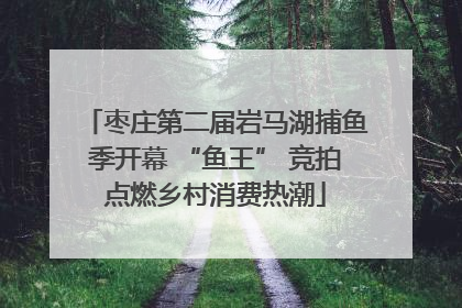 枣庄第二届岩马湖捕鱼季开幕 “鱼王” 竞拍点燃乡村消费热潮