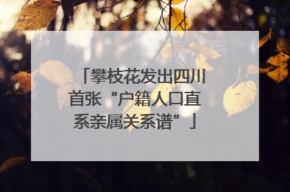 攀枝花发出四川首张“户籍人口直系亲属关系谱”