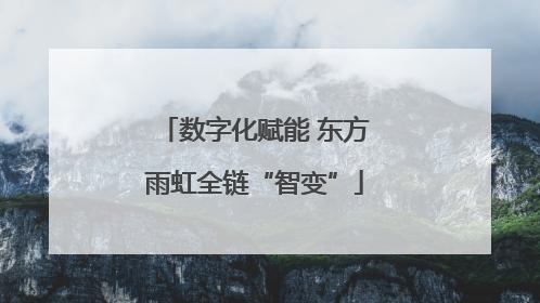 数字化赋能 东方雨虹全链“智变”