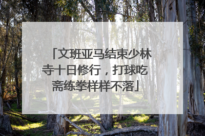 文班亚马结束少林寺十日修行，打球吃斋练拳样样不落