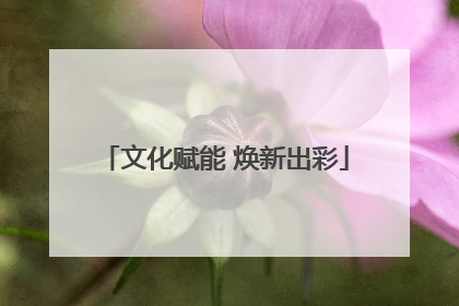 文化赋能 焕新出彩
