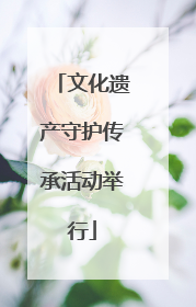 文化遗产守护传承活动举行