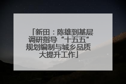 新田：陈雄到基层调研指导“十五五”规划编制与城乡品质大提升工作