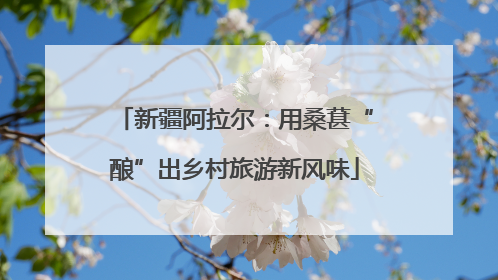 新疆阿拉尔：用桑葚“酿”出乡村旅游新风味