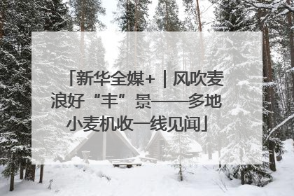 新华全媒+｜风吹麦浪好“丰”景——多地小麦机收一线见闻