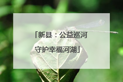 新县：公益巡河守护幸福河湖