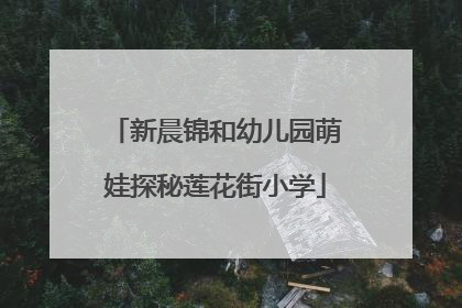 新晨锦和幼儿园萌娃探秘莲花街小学