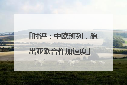时评：中欧班列，跑出亚欧合作加速度