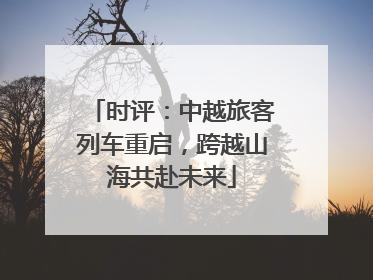 时评：中越旅客列车重启，跨越山海共赴未来