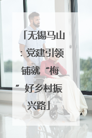 无锡马山：党建引领 铺就“梅”好乡村振兴路