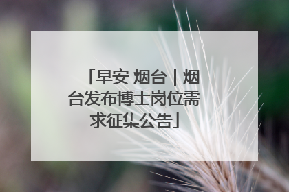 早安 烟台｜烟台发布博士岗位需求征集公告