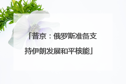 普京：俄罗斯准备支持伊朗发展和平核能