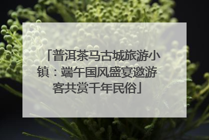 普洱茶马古城旅游小镇：端午国风盛宴邀游客共赏千年民俗