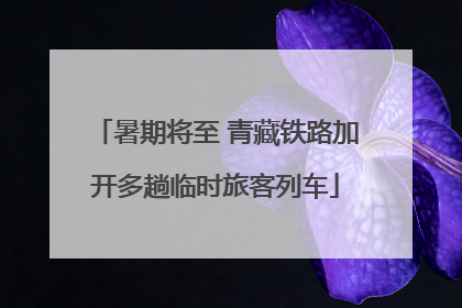 暑期将至 青藏铁路加开多趟临时旅客列车