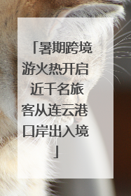 暑期跨境游火热开启 近千名旅客从连云港口岸出入境