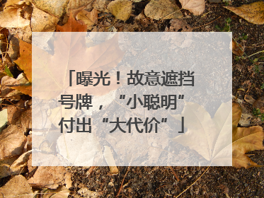 曝光！故意遮挡号牌，“小聪明”付出“大代价”