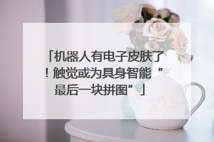 机器人有电子皮肤了！触觉或为具身智能“最后一块拼图”