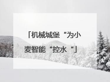 机械城堡“为小麦智能“控水“