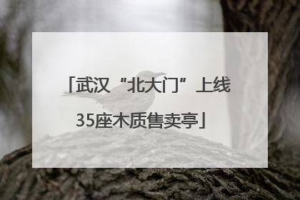武汉“北大门”上线35座木质售卖亭