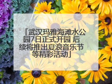 武汉玛雅海滩水公园7日正式开园 后续将推出夏浪音乐节等精彩活动