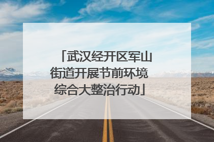 武汉经开区军山街道开展节前环境综合大整治行动