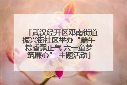 武汉经开区邓南街道振兴街社区举办“端午粽香飘正气 六一童梦筑廉心” 主题活动