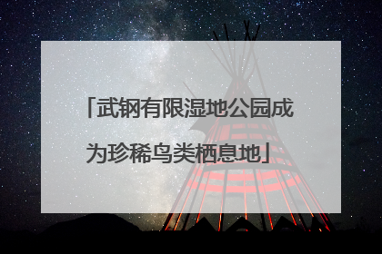 武钢有限湿地公园成为珍稀鸟类栖息地
