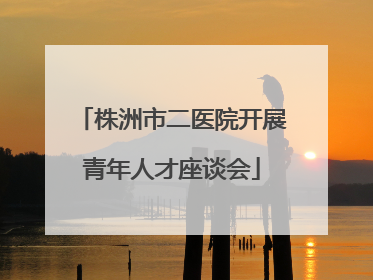 株洲市二医院开展青年人才座谈会
