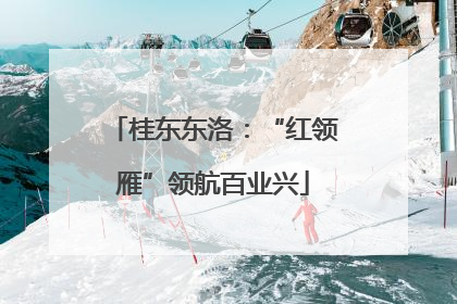 桂东东洛：“红领雁”领航百业兴