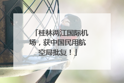 桂林两江国际机场，获中国民用航空局批复！