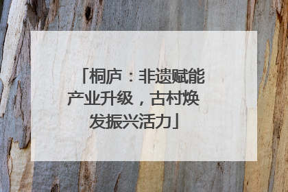 桐庐：非遗赋能产业升级，古村焕发振兴活力