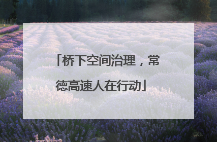 桥下空间治理，常德高速人在行动