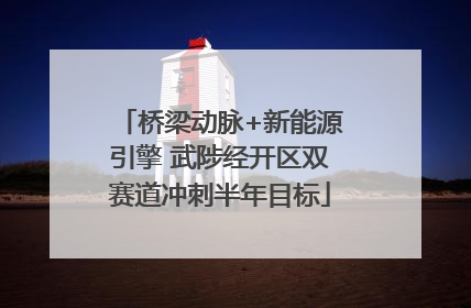 桥梁动脉+新能源引擎 武陟经开区双赛道冲刺半年目标