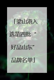梁山港入选第四批“好品山东”品牌名单