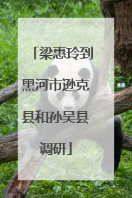 梁惠玲到黑河市逊克县和孙吴县调研