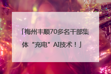 梅州丰顺70多名干部集体“充电”AI技术！