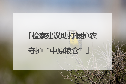 检察建议助打假护农守护“中原粮仓”